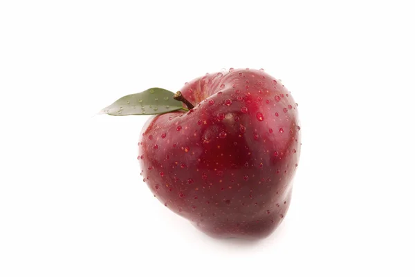 Elma yaprak üzerinde beyaz izole — Stok fotoğraf