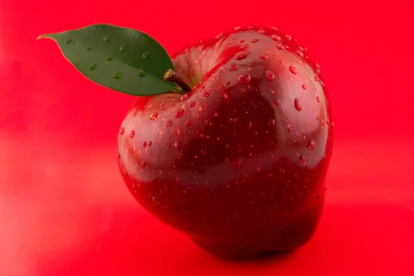 Červené jablko na červeném pozadí — Stock fotografie