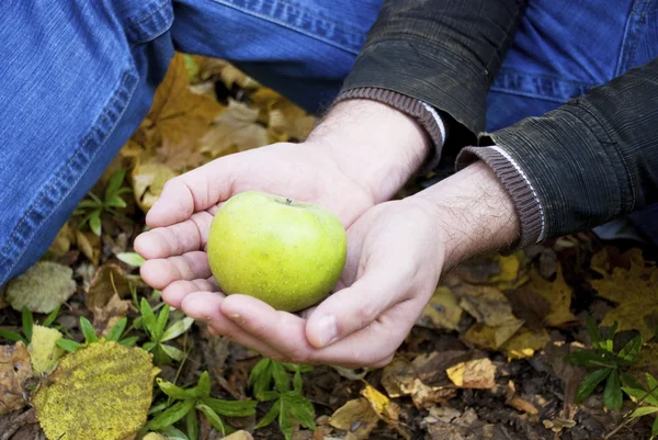 Green apple in the hands of men — Stock Photo, Image