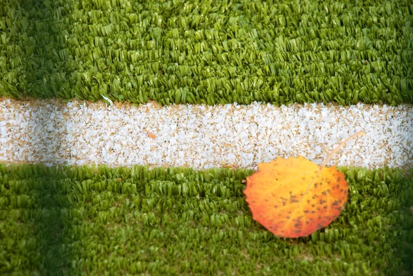 Terrain de football avec feuilles d'automne — Photo