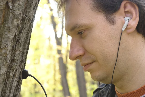 Homme avec écouteurs dans un arbre — Photo