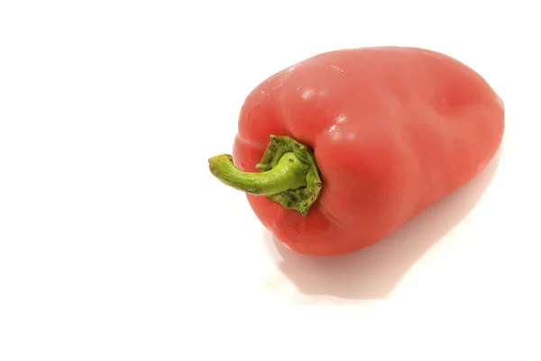Peppar isolerat på vit — Stockfoto