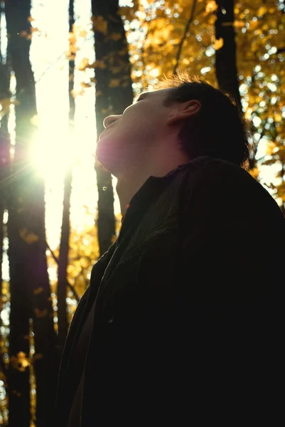 Человек, глядящий на солнце в осеннем лесу — стоковое фото
