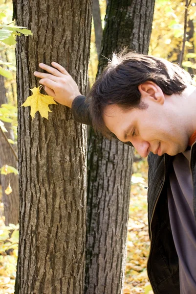 Человек, стоящий возле дерева в осеннем лесу — стоковое фото