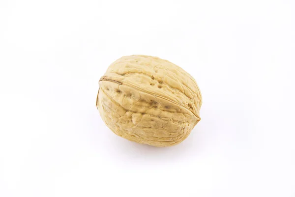 Орех изолирован на белом — стоковое фото