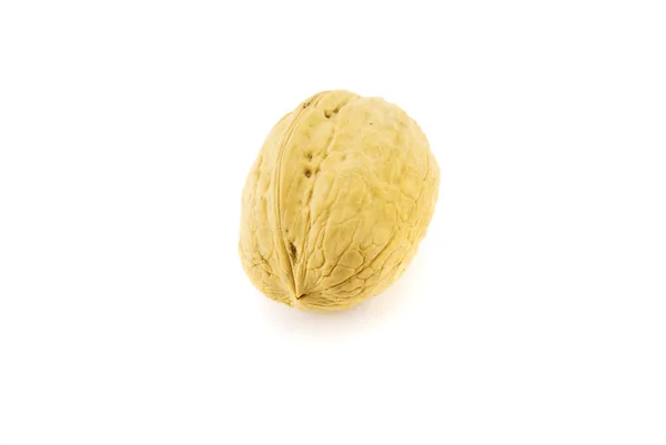 Pähkinä eristetty valkoinen — kuvapankkivalokuva