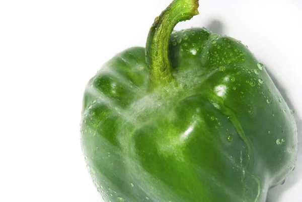 Elszigetelt fehér zöld paprika — Stock Fotó