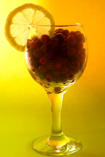 Cocktail con fetta di limone — Foto Stock