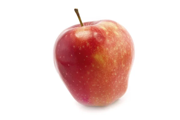Jabłko izolowane na białym — Zdjęcie stockowe