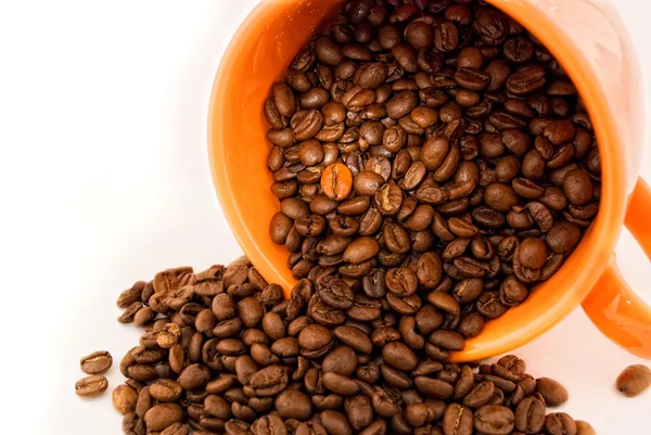 Taza con granos de café aislados en blanco — Foto de Stock