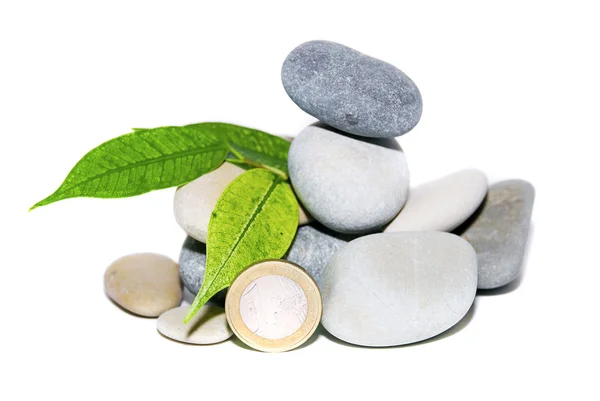 Um monte de pedras, folhas e moedas — Fotografia de Stock