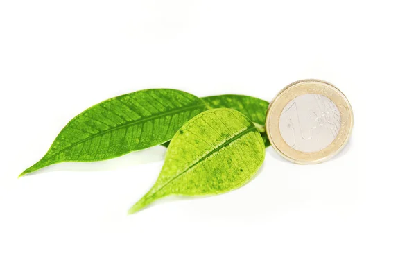 Coin and leaf — Stock Photo, Image