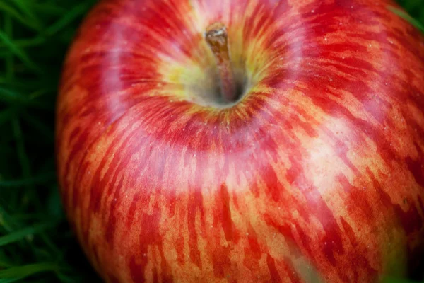 Rött äpple liggande på grönt gräs — Stockfoto