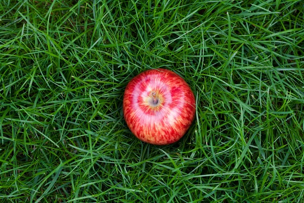 Manzana roja acostada sobre hierba verde — Foto de Stock