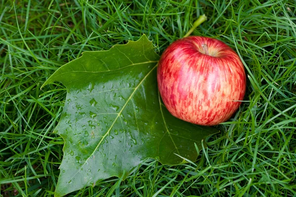 Pomme sur l'herbe avec des feuilles — Photo