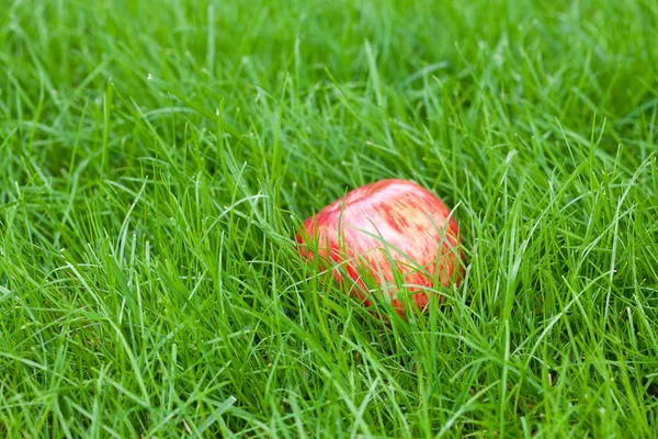 Red apple lying on green grass — Stock Photo, Image