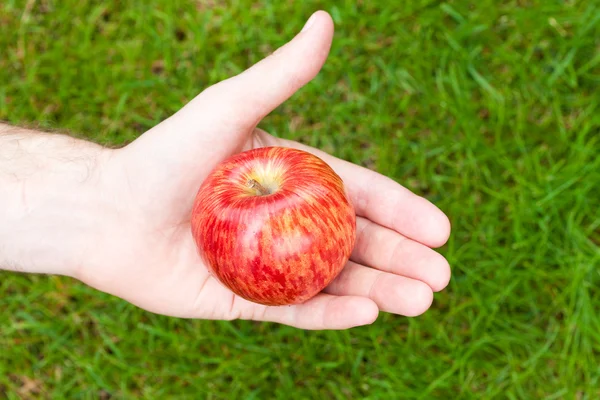 Manzana en su mano contra la hierba — Foto de Stock