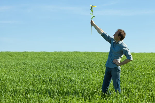 Giovane in piedi con un girasole nel campo verde — Foto Stock