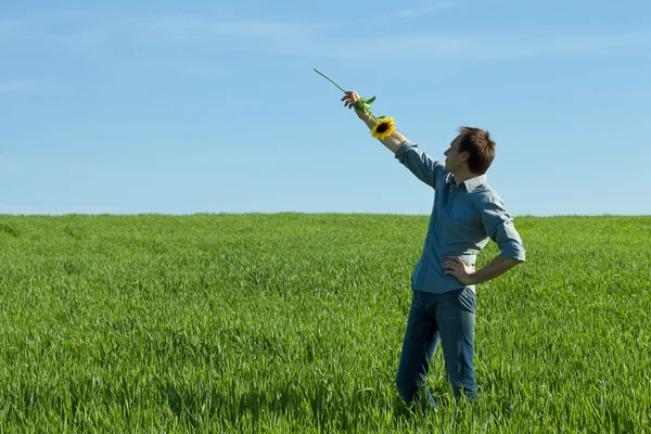 グリーン フィールドにおけるヒマワリと立っている若い男 — ストック写真