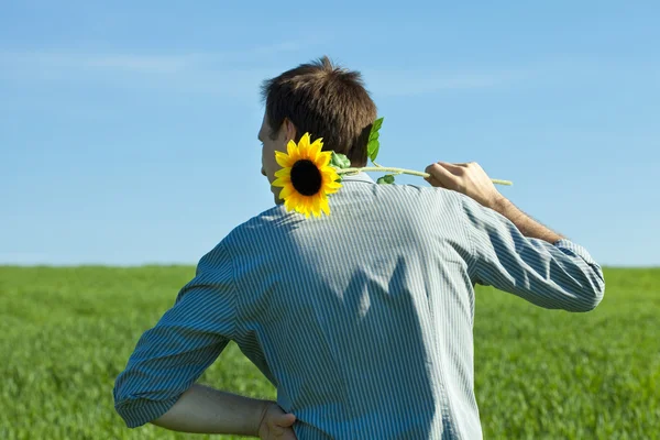 年轻男子站在绿色的原野中的一株向日葵 — 图库照片
