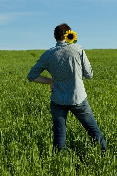 Fiatal férfi állt, a napraforgó, a zöld mezőben — Stock Fotó