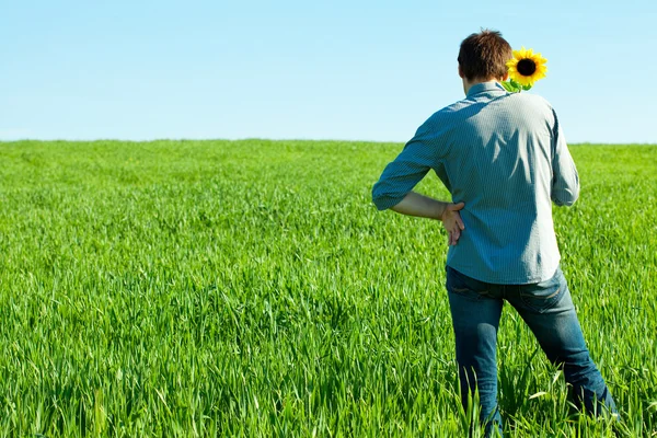Młody człowiek stojący z słonecznika w polu zielonym — Zdjęcie stockowe
