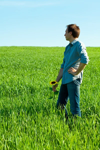 Tânăr în picioare cu floarea-soarelui în câmpul verde — Fotografie, imagine de stoc