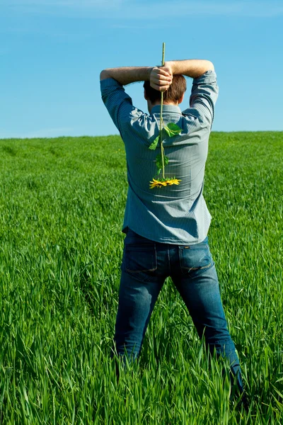 年轻男子站在绿色的原野中的一株向日葵 — 图库照片