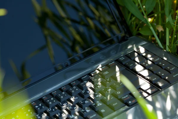 Laptop in groene gras — Stockfoto