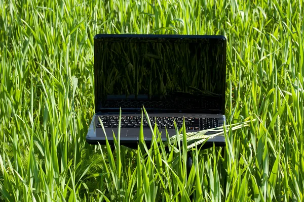 Přenosný počítač v zelené trávě — Stock fotografie