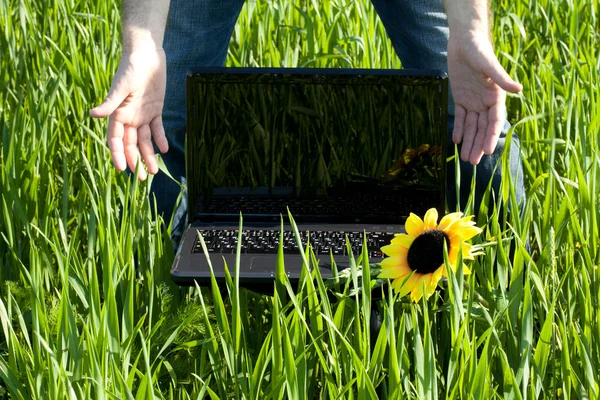 Laptop στο πράσινο χορτάρι με ένα ηλιοτρόπιο και το χέρι του ανθρώπου — Φωτογραφία Αρχείου