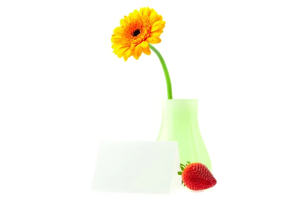 Gerbera in a vase and strawberries isolated on white — Stock Photo, Image