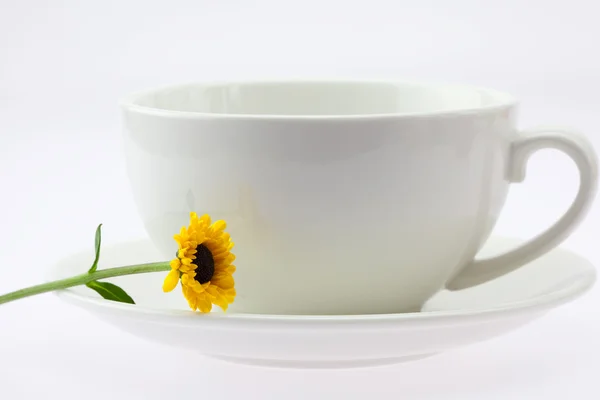 Cup and a yellow flower isolated on white — Stock Photo, Image