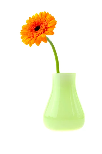 Gerbera v váza izolovaných na bílém — Stock fotografie