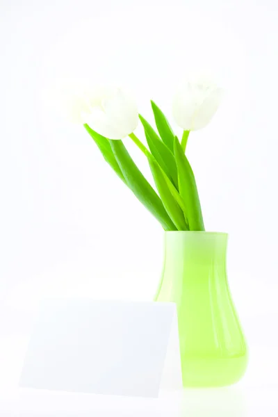 Tulipanes blancos en un jarrón y tarjeta aislados en blanco —  Fotos de Stock