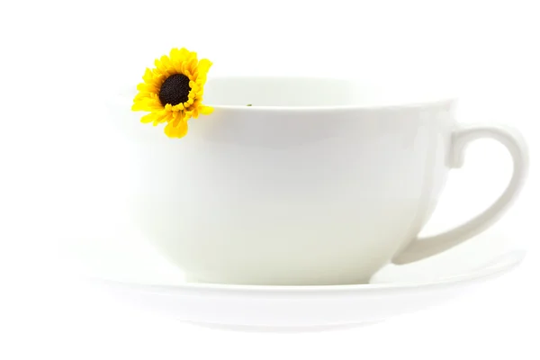 Cup and a yellow flower isolated on white — Stock Photo, Image