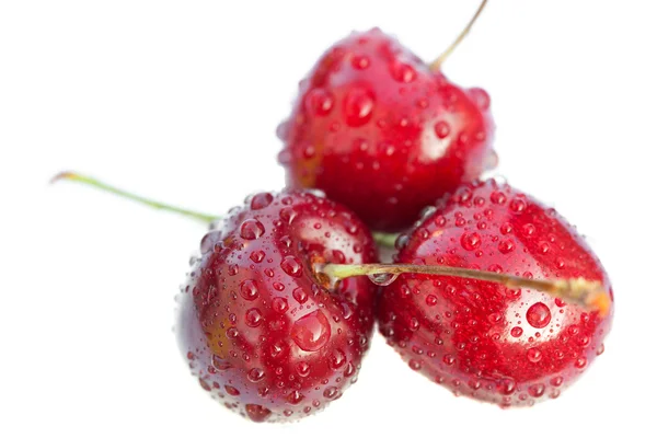 Cherry bij waterdruppels geïsoleerd op wit — Stockfoto