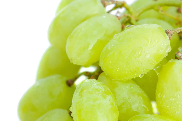 Grapes with drops of water isolated on white — Stock Photo, Image