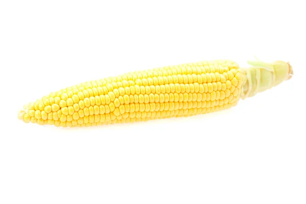O milho é isolado em um branco — Fotografia de Stock