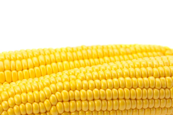 O milho é isolado em um branco — Fotografia de Stock