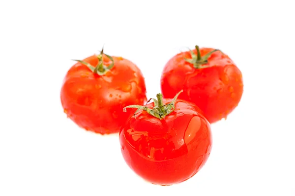 Tomates em água corrente isolados em branco — Fotografia de Stock