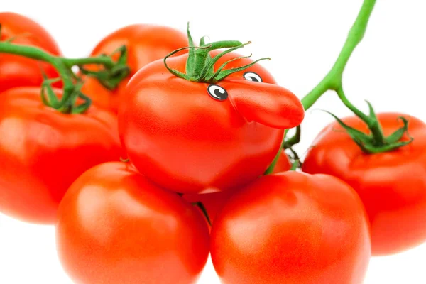 Tomate con ojos y un ramo de tomate aislado sobre blanco — Foto de Stock