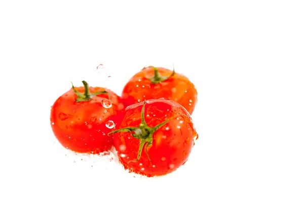 Ντομάτες με τους παφλασμούς του νερού που απομονώνονται σε λευκό — Φωτογραφία Αρχείου