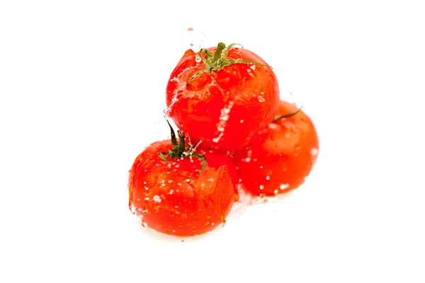 Tomaten met spatten van water geïsoleerd op wit — Stockfoto