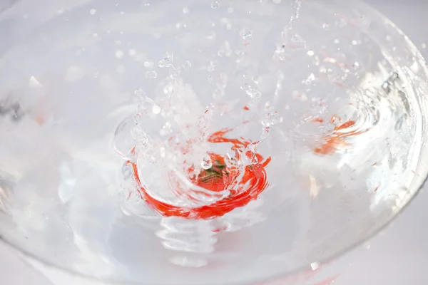 Помидоры с брызгами воды в стеклянной чаше — стоковое фото