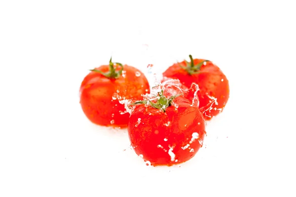 Tomates com salpicos de água isolados em branco — Fotografia de Stock