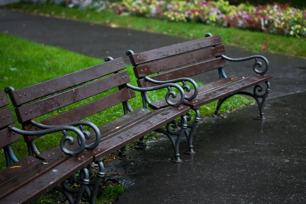 Mokry ławki w parku na deszcz — Zdjęcie stockowe