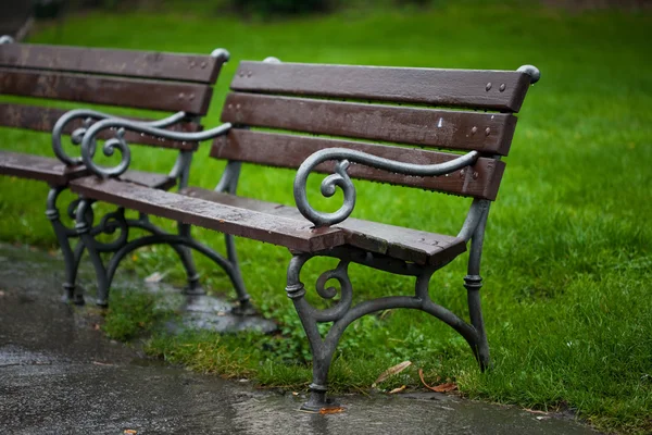 Blöta bänkar i parken på regn — Stockfoto