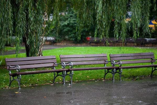 Bancs humides dans le parc sous la pluie — Photo