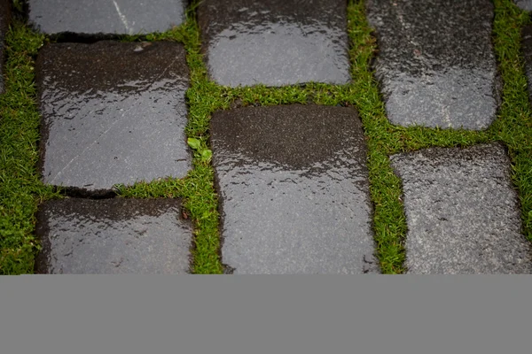 Hintergrund vom nassen Bürgersteig mit Gras — Stockfoto